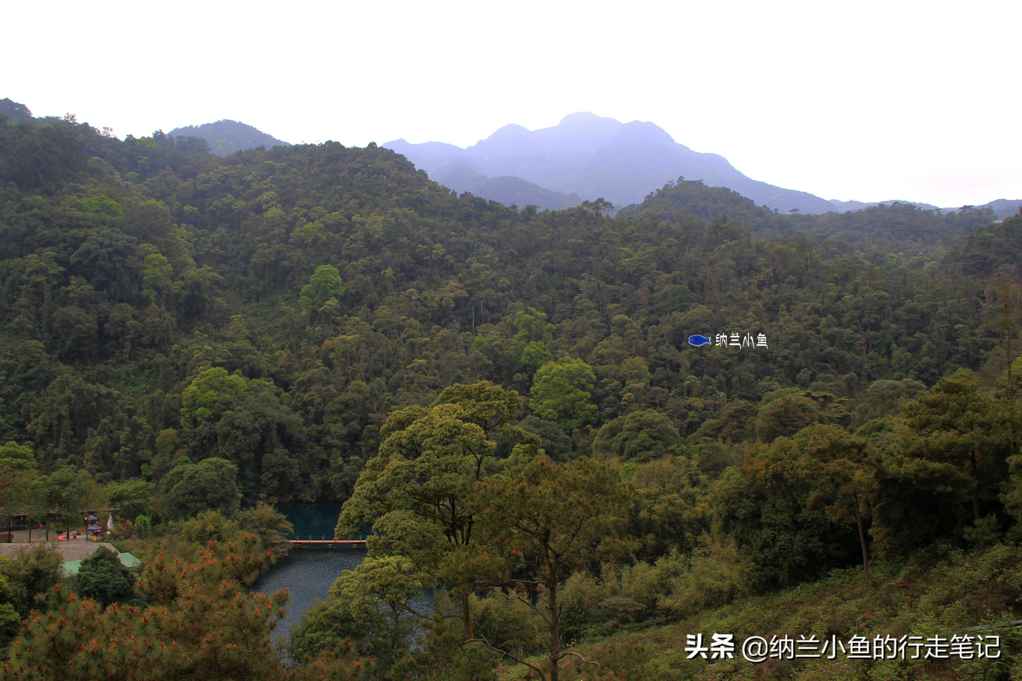 广东省博物馆与婴儿的世界，探索与成长之旅