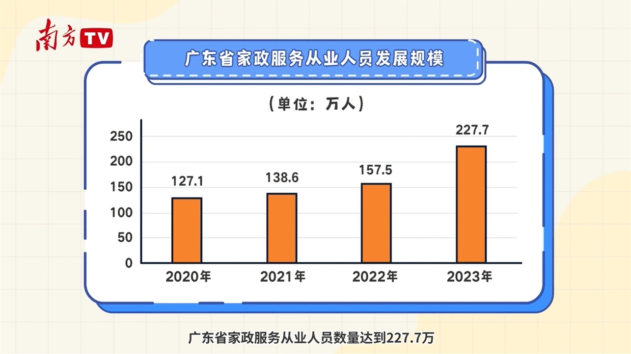 广东省家政培训现状深度剖析