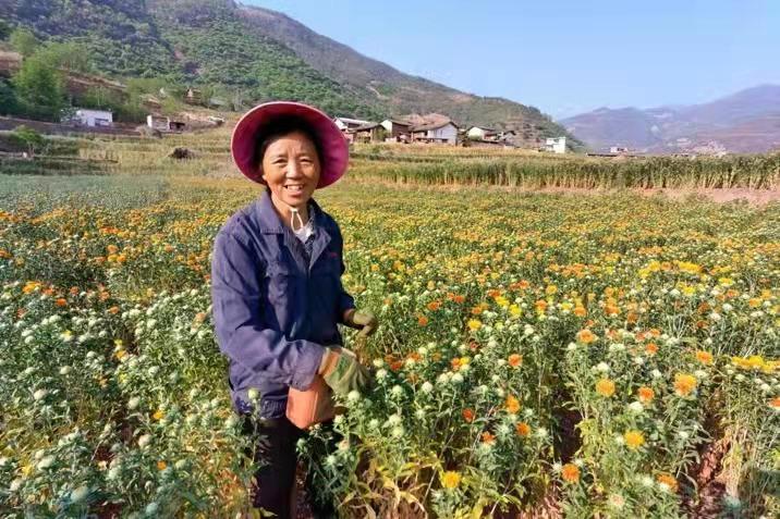 广东天河农资有限公司，农资领域的卓越先锋