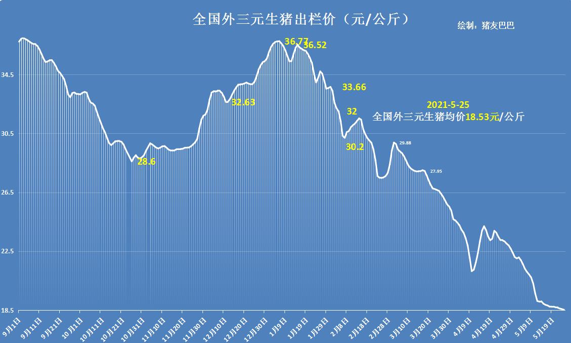 广东省生猪价格行情分析