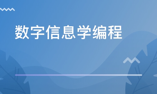 江苏编程猫科技，引领数字时代的编程教育创新者