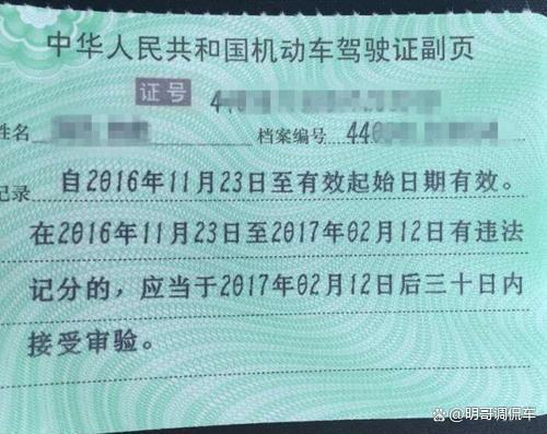 广东省无证驾驶罚单样本及其相关解析