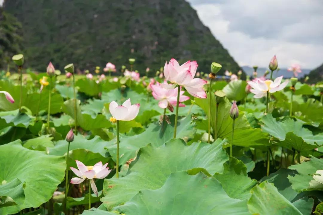 江苏绿瑞环保科技，引领环保新潮流，塑造绿色未来