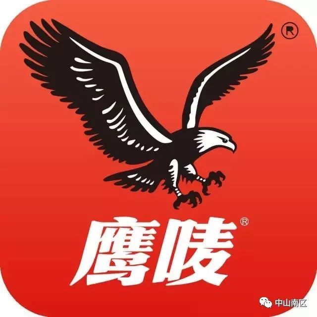 广东鹰灭有限公司，卓越的企业典范